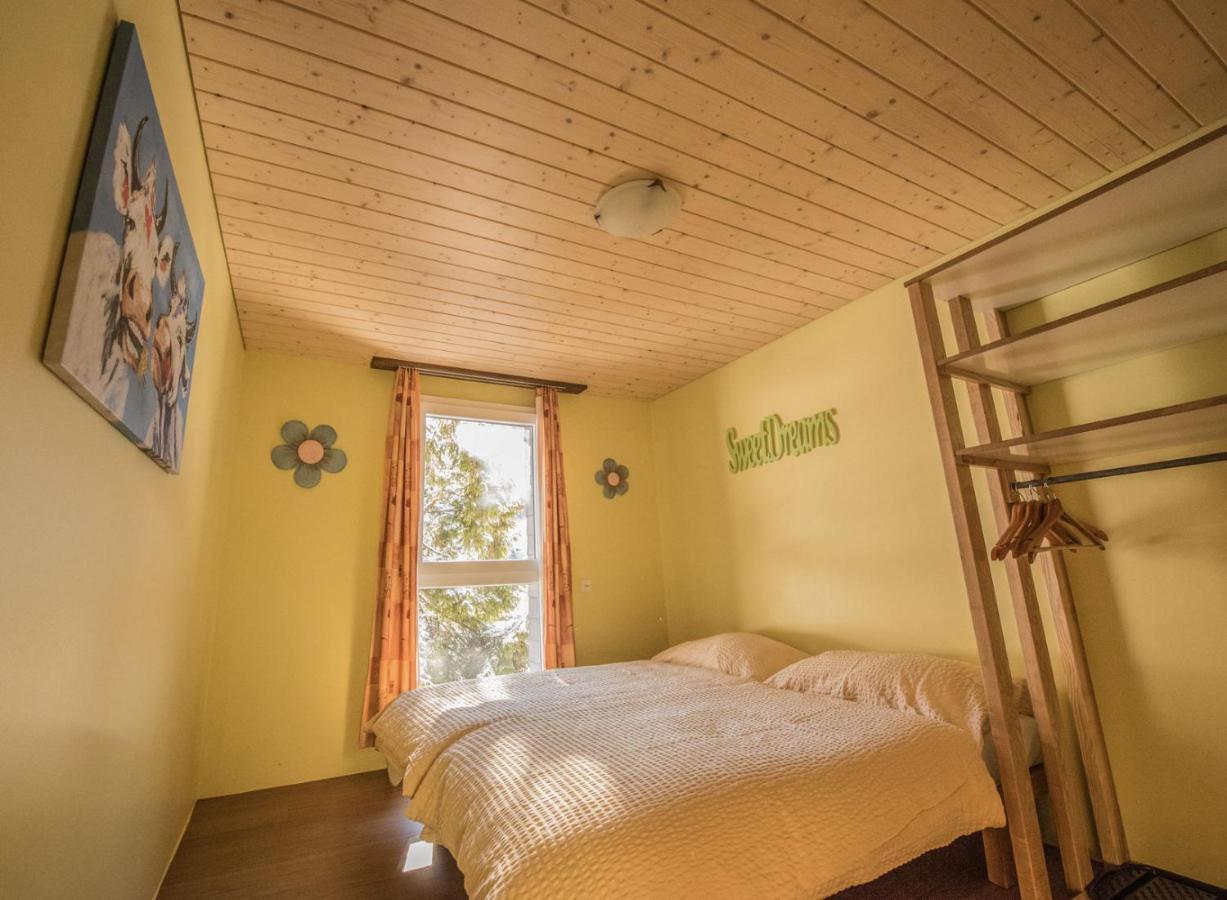 Schutzenbach Backpackers For Adults 18-35 Vandrerhjem Lauterbrunnen Eksteriør bilde