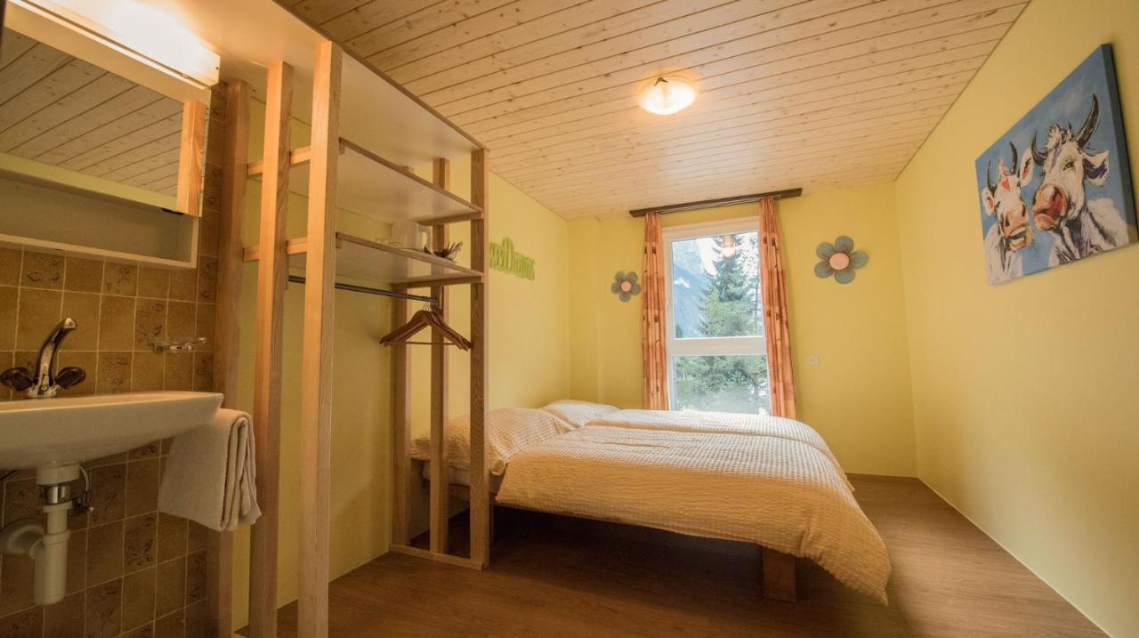 Schutzenbach Backpackers For Adults 18-35 Vandrerhjem Lauterbrunnen Eksteriør bilde